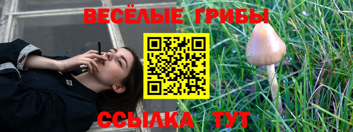 Ноябрьск  Галлюциногенные грибы GOLDEN TEACHER  Вход с VPN 