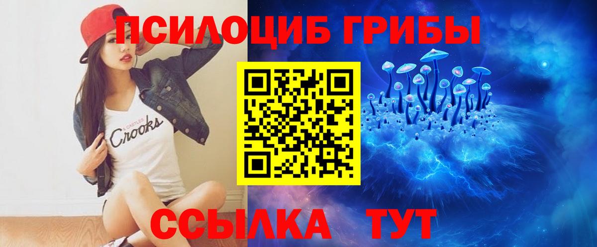 Псилоцибиновые грибы GOLDEN TEACHER Ноябрьск